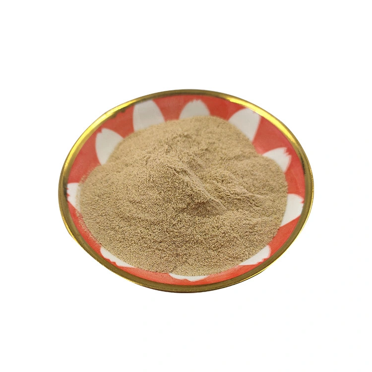 High Quality Feed Grade Animal Supplements 10 B Wholesale Probiotics Bacillus Subtilis Aquaculture Probiotic Powder