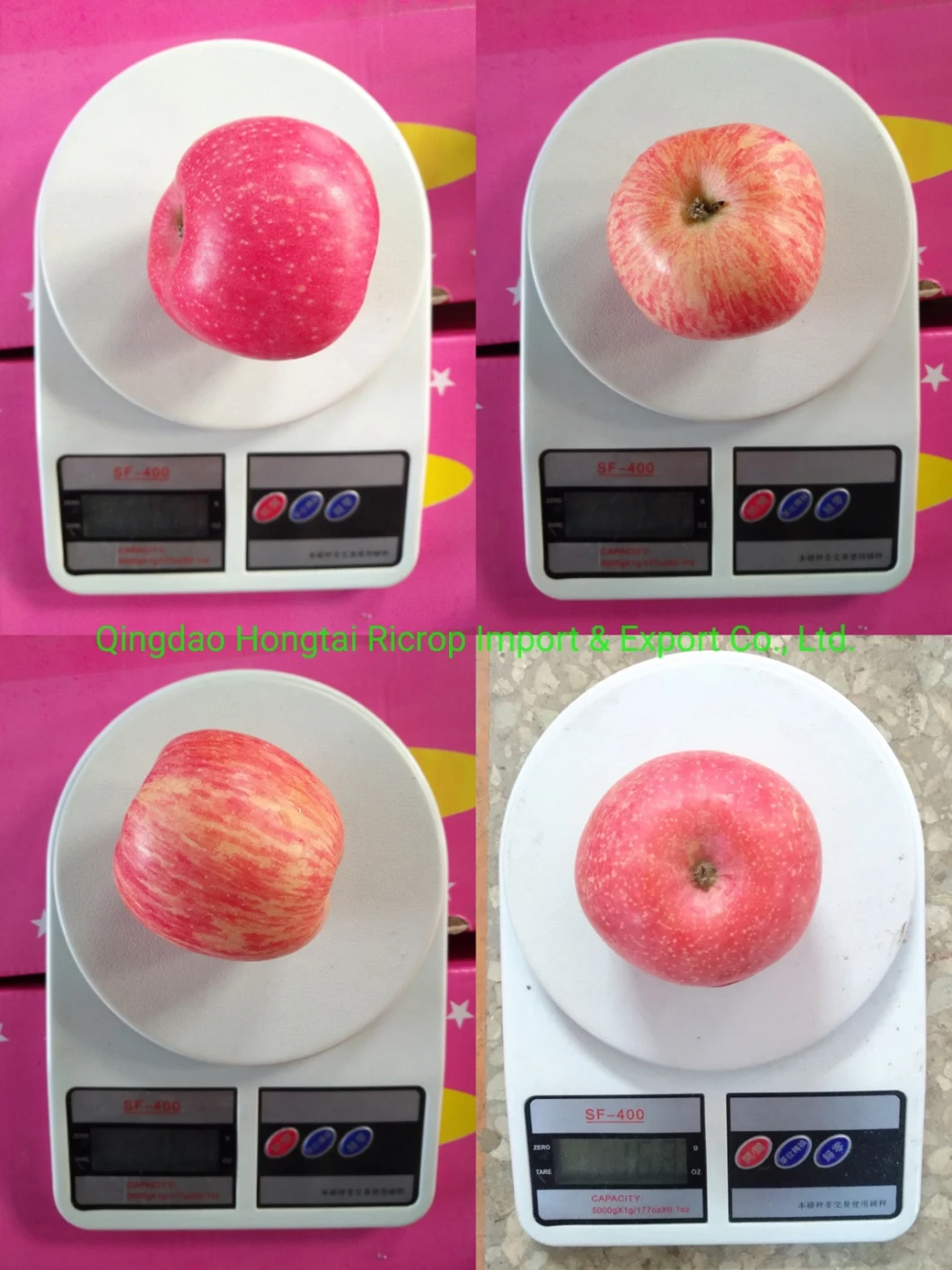 China Fresh Apple Fruit Sweet FUJI Apple with Factory Price