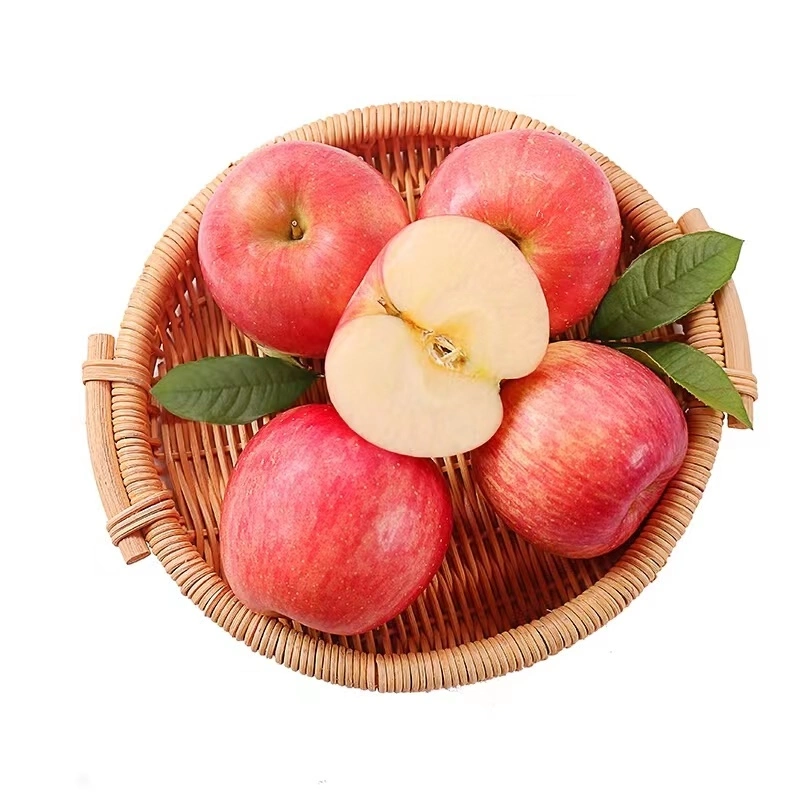 Fresh Fruits Red FUJI Apples From Shandong China