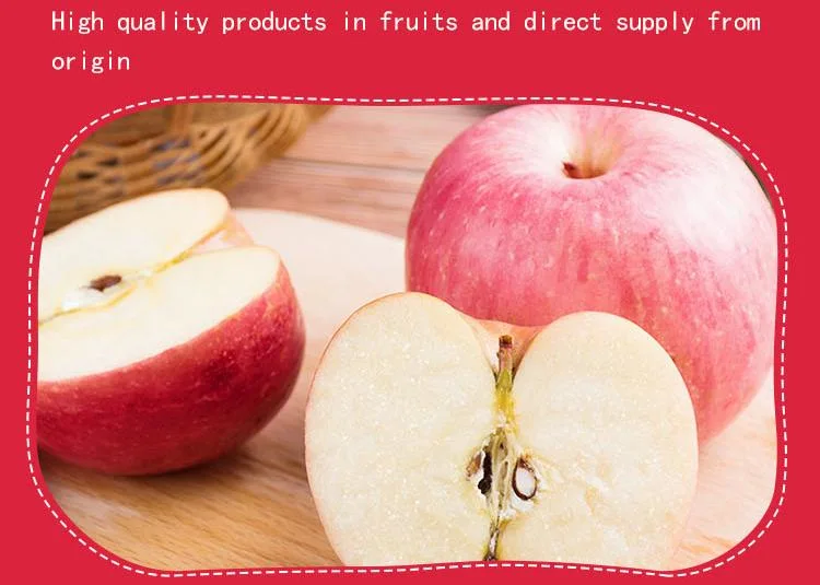 Top Quality Organic Apples Made in Italy &quot;Fresh Apples Fruits Crunchy